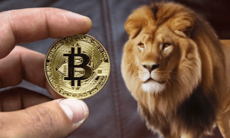 Como Declarar Criptomoedas no Imposto de Renda