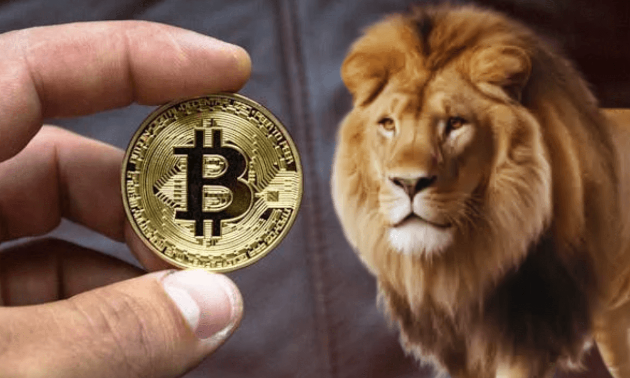 Como Declarar Criptomoedas no Imposto de Renda