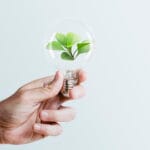 Sustainable energy campaign hand holding tree light bulb media r